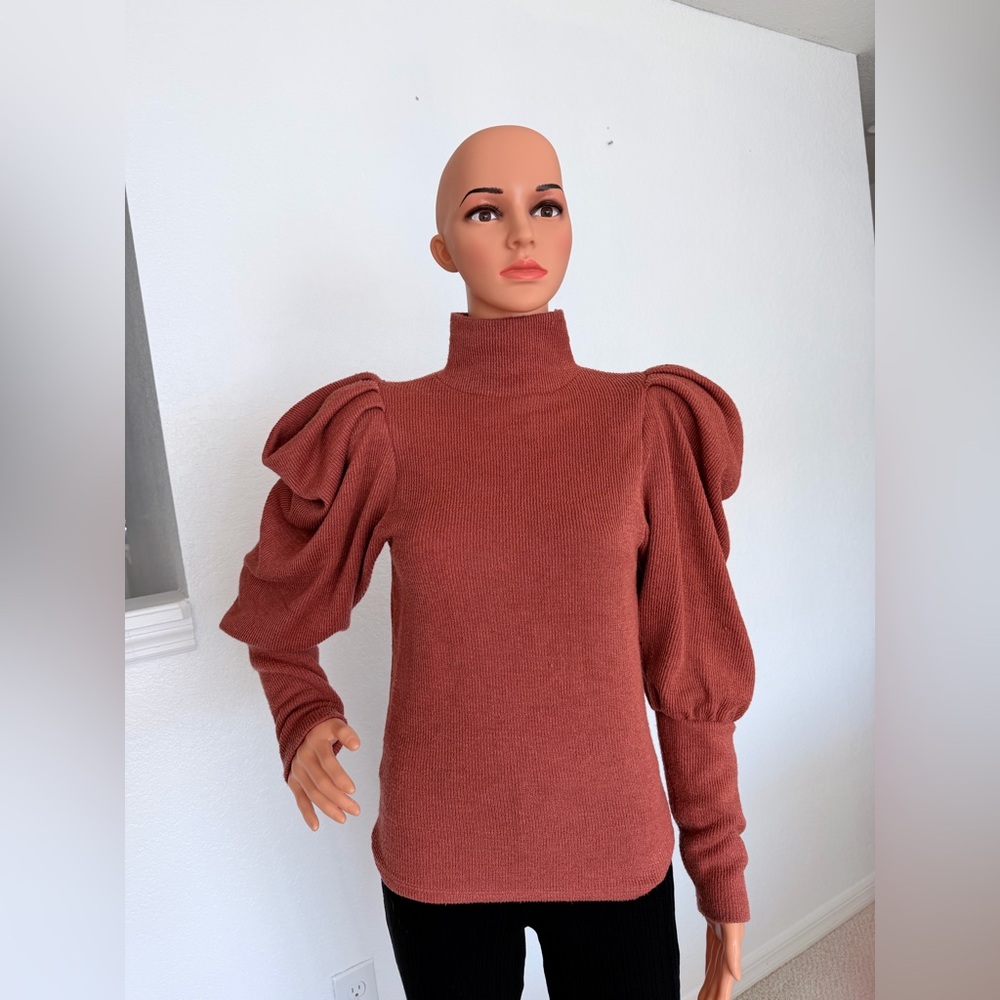 Express Rust Puff-Sleeve Turtleneck Sweater